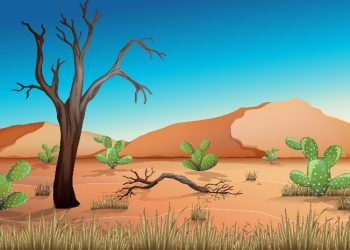 Menyingkirkan Duri di Jalan