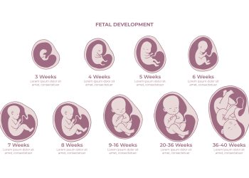 Penciptaan Manusia dalam Al-Qur'an