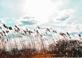 Illustration of the wind that makes people die on judgement day