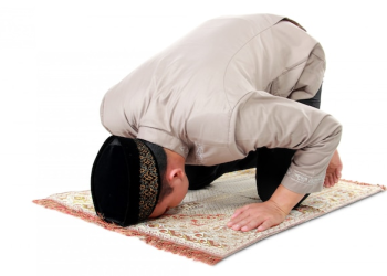 Sujud Kita Perlu DIperhatikan Apakah Sudah Benar atau Belum