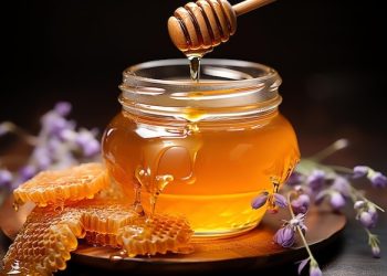 Kisah Nuaiman Sahabat Rasulullah tentang madu