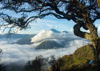 Perlu Diketahui! Ternyata Ini Dia Takdir dalam Islam