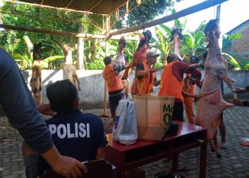 kegiatan di hari raya Idul Adha