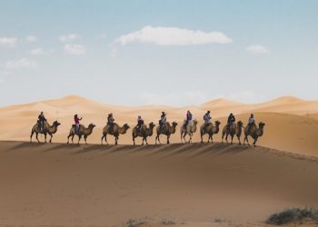 kisah Imam Malik dan santrinya