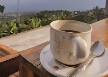 kopi, minuman sejuta umat