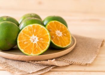 Ilustrasi jeruk nipis sebagai gambaran ketentuan Allah