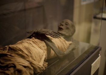 Inilah Kebenaran Fir’aun dalam Al-Qur’an yang Harus Kamu Tahu! | Simak Penjelasan Berikut Ini