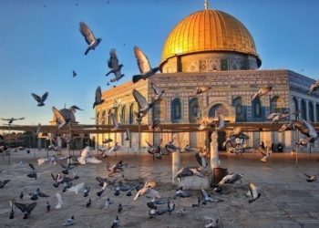 Cara Allah Mengampuni Dosa Hambanya