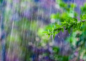 Kenapa Turunnya Hujan Dianggap Sebagai Waktu yang Mustajab untuk Berdoa?