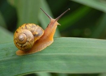 Beruntungnya Orang yang Sabar