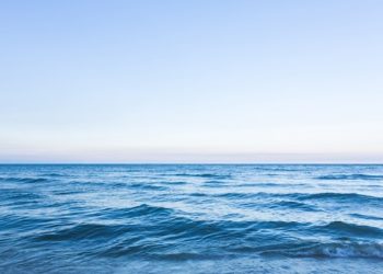 Ibnu Batutah: Sang Penjelajah Muslim Abad Ke-14 yang Menaklukkan Dunia