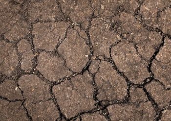 Jual Beli Properti diatas Tanah Wakaf, Gimana Sih Hukumnya?