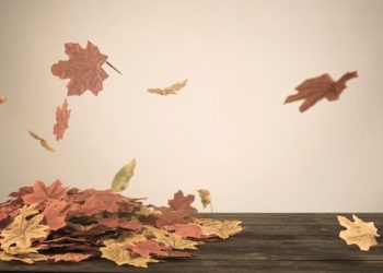 Mengambil Makna Kehidupan Melalui Daun