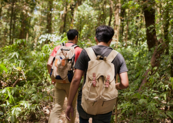Analisis Pesan Moral dalam Novel Bumi Karya Tere Liye