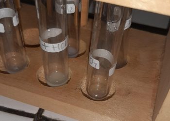 Mengapa Kita Harus Mempelajari Ilmu Kimia? Pentingnya dalam Kehidupan Sehari-hari