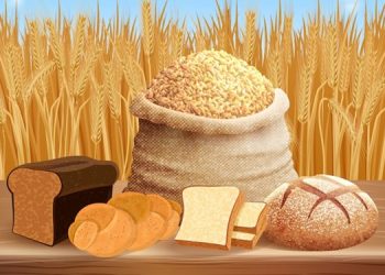 ilustrasi zakat fitrah (freepik.com - almuhtada.org)