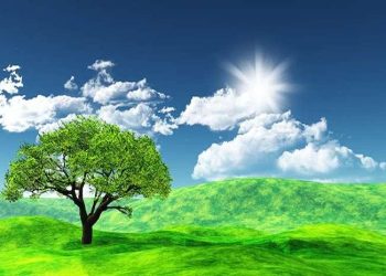 Ada Apa dengan Warna Hijau dan Putih Dalam Islam?