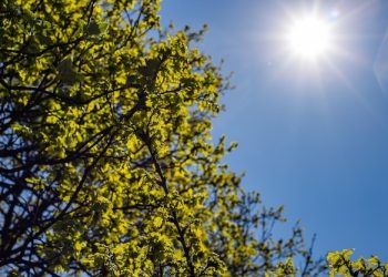 Jangan Sampai Terlupa! Waktu Berharga saat Ramadhan!