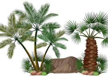 illustration of date palm tree (almuhtada.org - freepik.com)