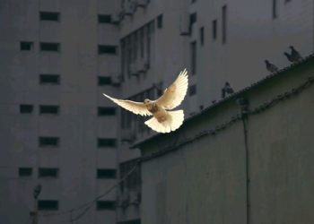 Dua Nikmat yang Sering Dilalaikan, Apa saja itu?