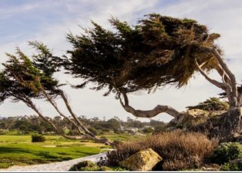 Rihul Ahmar: Penyakit Misterius Karena Angin