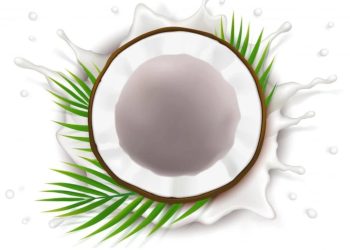 Santan Dapat Menjadi Racun, Kok Bisa?