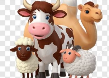 Bagaimana Pembagian Daging kurban yang Sesuai dengan Syariat Islam?