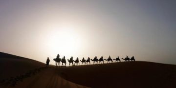 Kisah Sahabat Nabi Sang Singa Padang Pasir