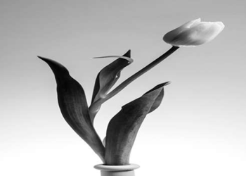 Kematian dalam Islam: Takdir Pasti dan Bekal yang Harus Disiapkan