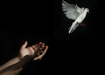 Ikhtiar Sudah Maksimal, Hasil Tak Sesuai Harapan? Ini Pesan Penting untuk Kita Semua