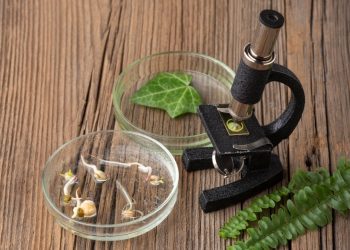 Mengenal Al Dinawari : Bapak Ilmu Botani Islam