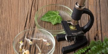 Mengenal Al Dinawari : Bapak Ilmu Botani Islam