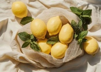 Manfaat Buah Jeruk Lemon: Cara Jitu Menjaga Mood dan Daya Tahan Tubuh Dimusim Hujan