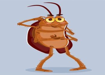 Si Kecil yang Dianggap Menjijikan Bisa Menjaga Keseimbangan Alam