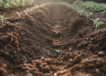 Meresapi Makna Tanah dalam Al-Quran