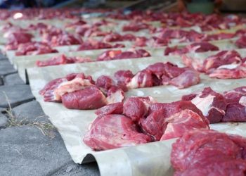 Bolehkah Perempuan Menyembelih Hewan? Ini Hukumnya Menurut Islam