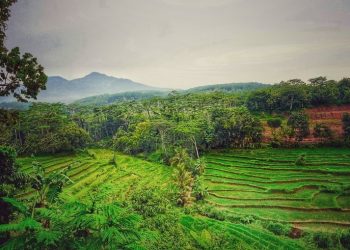 Menelisik Jejak Kiai Pati: Sosok di Balik Identitas Daerah Gunungpati Semarang