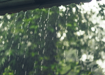 Tetap Bersyukur: Hikmah di Balik Keberkahan Hujan