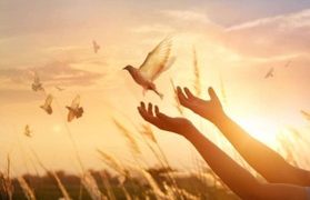 Memaafkan Sebagai Jalan Sunyi Menuju Tenang