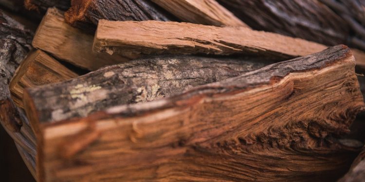 Ini Dia Komoditas Indonesia yang disukai oleh Rasulullah SAW!