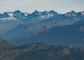 Bagaimana Allah Menghidupkan yang Telah Mati: Kisah Nabi Ibrahim Menaikan Level Keimanan
