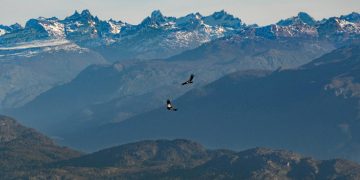 Bagaimana Allah Menghidupkan yang Telah Mati: Kisah Nabi Ibrahim Menaikan Level Keimanan