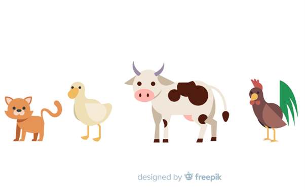 Berkah dalam Perumpamaan Hewan yang Biasa Kita Temui