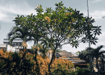 Karunia dari Allah Dibalik Ketidaktahuan Manusia Akan Masa Depan
